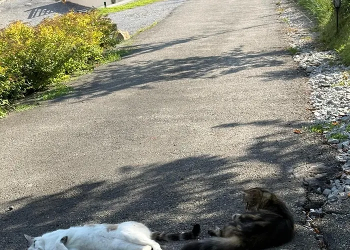 Lägenhet Pommeraies